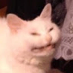 Meet your Posher, Ravioli